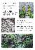 4페이지