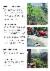 4페이지